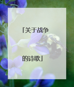 关于战争的诗歌