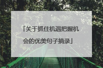 关于抓住机遇把握机会的优美句子摘录