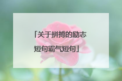 关于拼搏的励志短句霸气短句