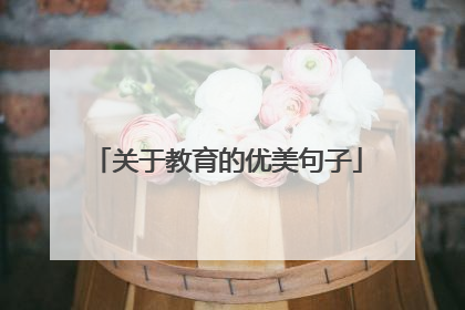 关于教育的优美句子