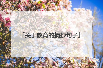 关于教育的摘抄句子