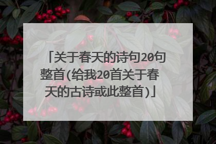 关于春天的诗句20句整首(给我20首关于春天的古诗或此整首)