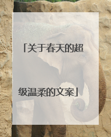 关于春天的超级温柔的文案