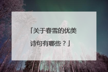 关于春雪的优美诗句有哪些？