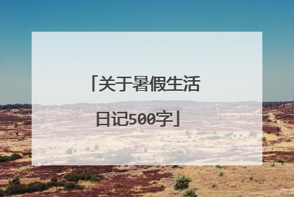 关于暑假生活日记500字