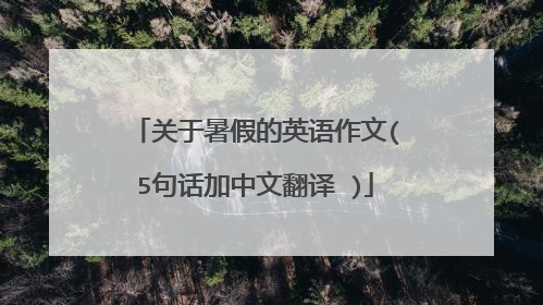 关于暑假的英语作文(5句话加中文翻译 )