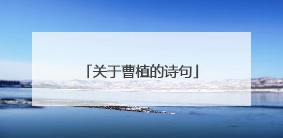 关于曹植的诗句