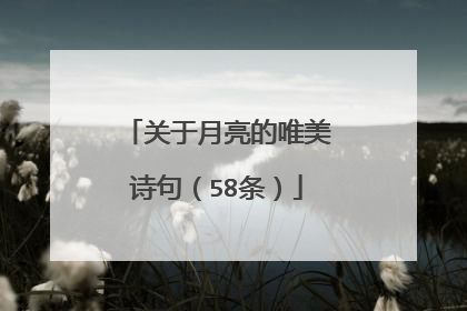 关于月亮的唯美诗句（58条）