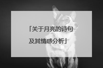 关于月亮的诗句及其情感分析
