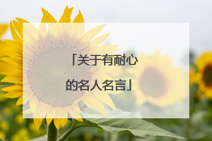 关于有耐心的名人名言