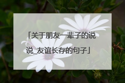 关于朋友一辈子的说说_友谊长存的句子