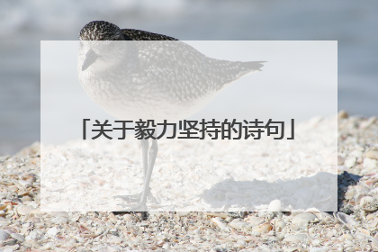 关于毅力坚持的诗句