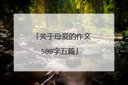 关于母爱的作文500字五篇