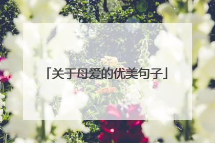 关于母爱的优美句子