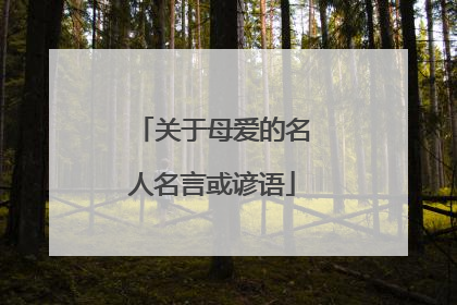 关于母爱的名人名言或谚语