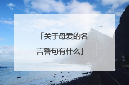 关于母爱的名言警句有什么