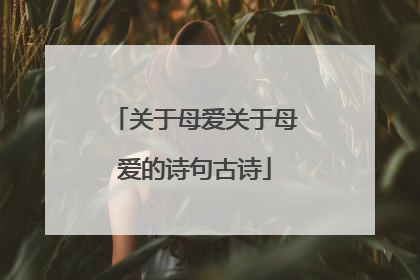 关于母爱关于母爱的诗句古诗