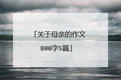 关于母亲的作文800字5篇