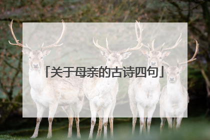 关于母亲的古诗四句