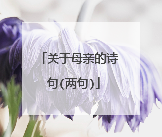关于母亲的诗句(两句)