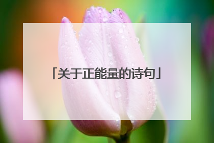 关于正能量的诗句