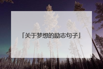 关于梦想的励志句子