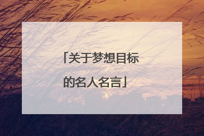 关于梦想目标的名人名言