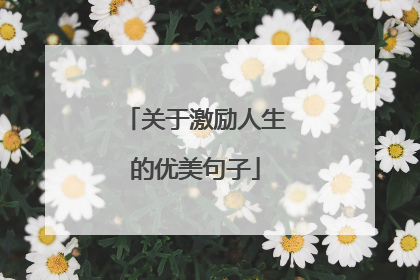 关于激励人生的优美句子