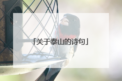 关于泰山的诗句