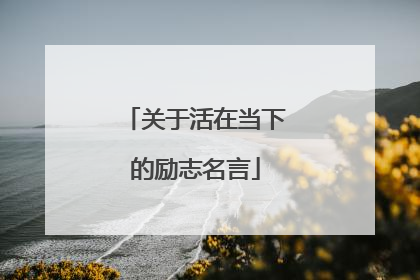 关于活在当下的励志名言