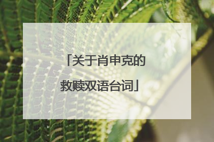 关于肖申克的救赎双语台词