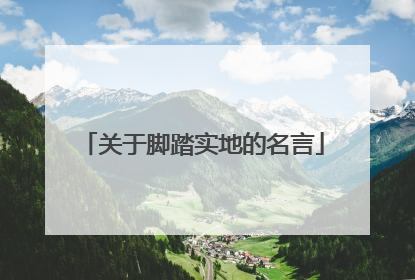 关于脚踏实地的名言
