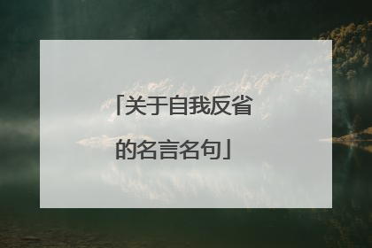 关于自我反省的名言名句