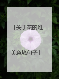 关于花的唯美意境句子