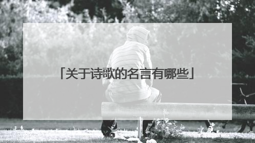 关于诗歌的名言有哪些
