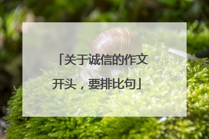 关于诚信的作文开头，要排比句