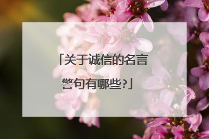 关于诚信的名言警句有哪些?