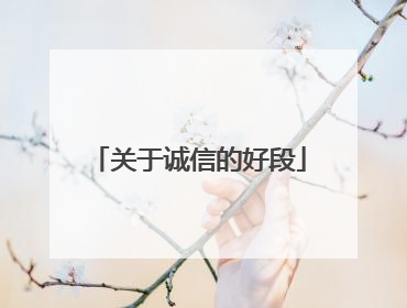 关于诚信的好段