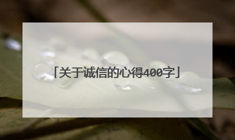 关于诚信的心得400字