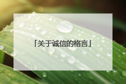 关于诚信的格言