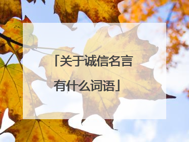 关于诚信名言有什么词语