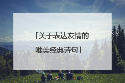 关于表达友情的唯美经典诗句