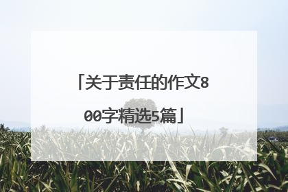 关于责任的作文800字精选5篇