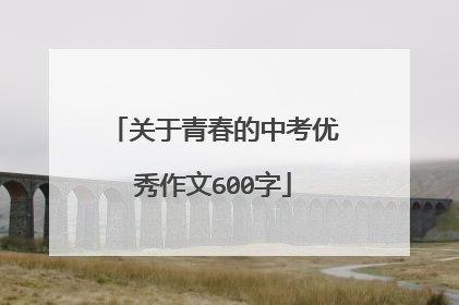 关于青春的中考优秀作文600字