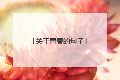 关于青春的句子