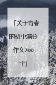 关于青春的初中满分作文700字