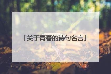 关于青春的诗句名言