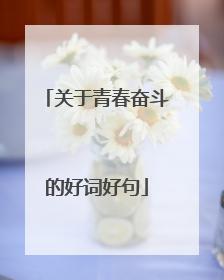 关于青春奋斗的好词好句