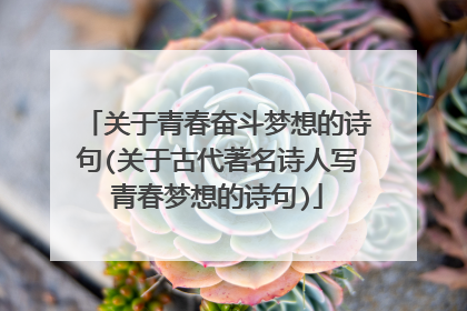 关于青春奋斗梦想的诗句(关于古代著名诗人写青春梦想的诗句)