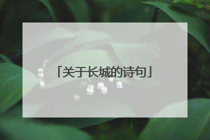 关于长城的诗句